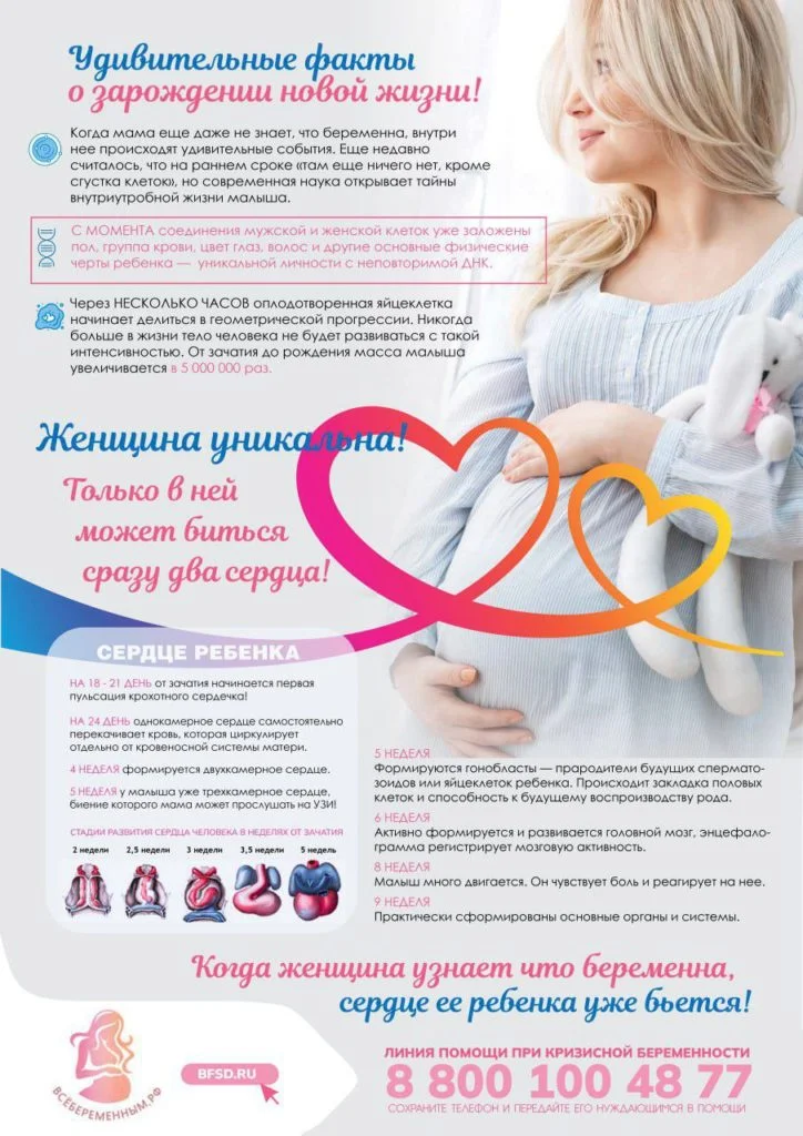 День беременных
