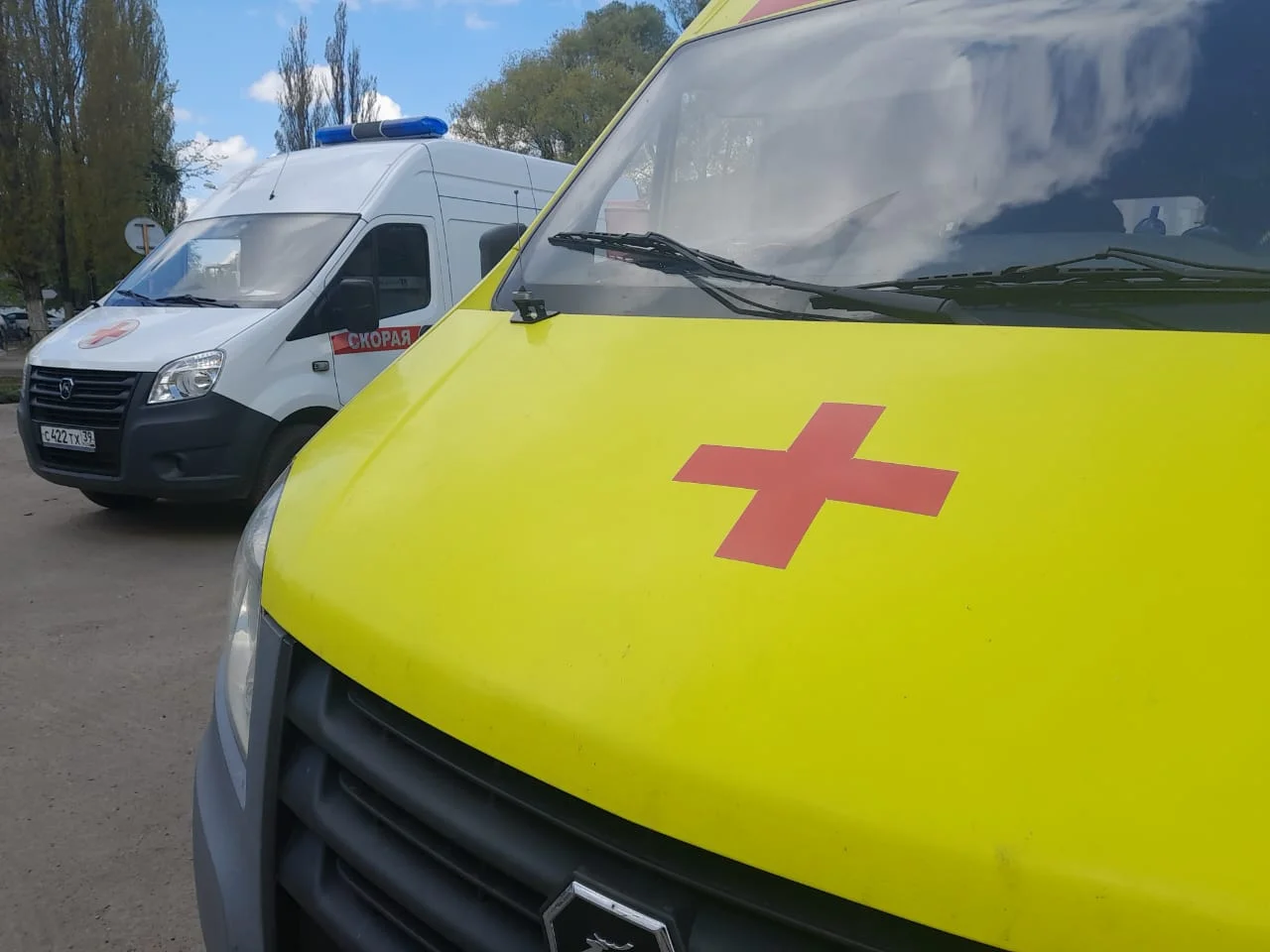 У жителей региона обнаружили сальмонеллез