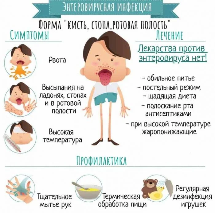 Памятка по  энтеровирусу