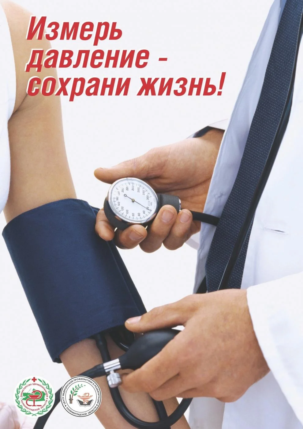 День сердца