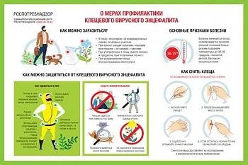 Что делать, если вас укусил клещ?