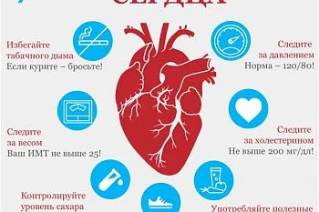 ❤ День здорового сердца — 11 августа 2025 ❤