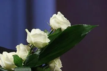 Добрые слова врачам Добрые слова врачам